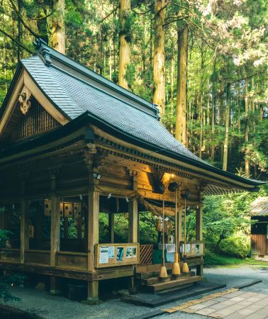 2D1N • Japan + Kumamoto City Consult customer service for free online customization