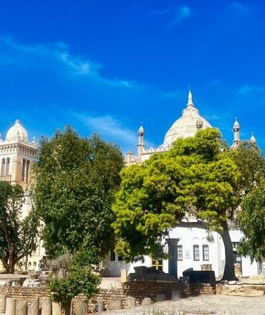 9D8N • 10 Day Historical and Cultural Tour of Tunisia