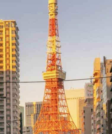 10D9N • Tokyo: 10-Day Nikko, Kamakura, Hakone & Fuji Private Tour