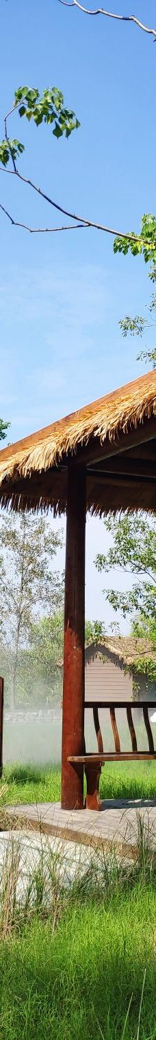 溱湖国家湿地公园-泰州