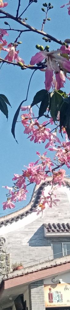 新兴天露山旅游度假区-新兴