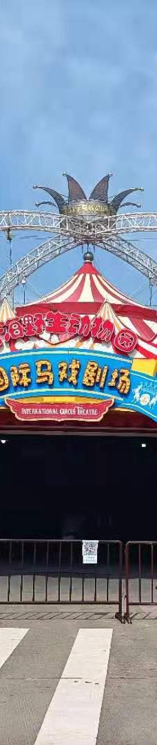 上海野生动物园-上海