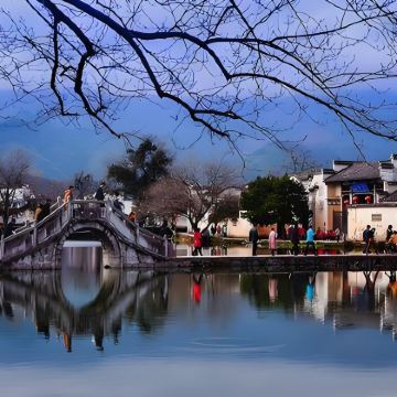 黄山风景区+西递+宏村景区+三河古镇+九华山风景区+徽州古城+呈坎8日7晚私家团