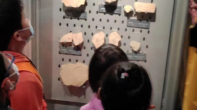 博物馆讲解•北京中国地质博物馆研学半日亲子营【带娃去地质博物馆，来场穿越了四十亿年、“石”破天惊的寻宝之旅】·博物馆讲解•北京中国地质博物馆研学半日亲子营【带娃去地质博物馆，来场穿越了四十亿年、“石”破天惊的寻宝之旅】