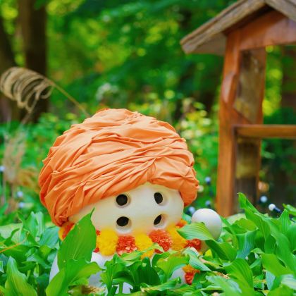 韩国首尔+南怡岛3日2晚私家团