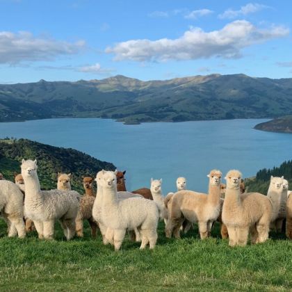 澳大利亚墨尔本+新西兰南岛12日10晚自由行