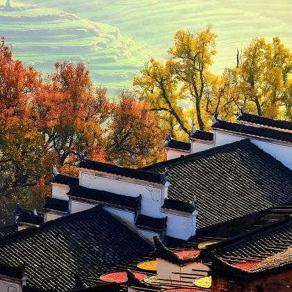 江西南昌+庐山风景名胜区+景德镇+婺源+三清山风景区+望仙谷7日6晚拼小团