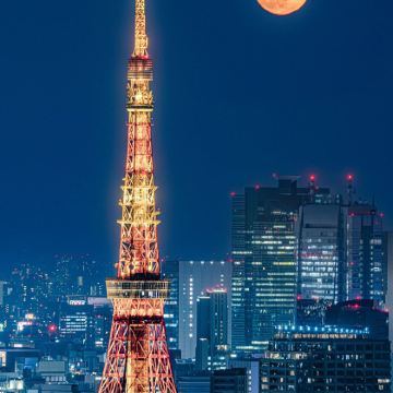 日本东京+箱根7日6晚私家团