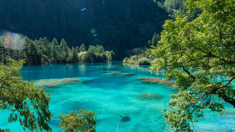 8-Day Chengdu + Jiuzhaigou + Bipenggou + Dujiangyan