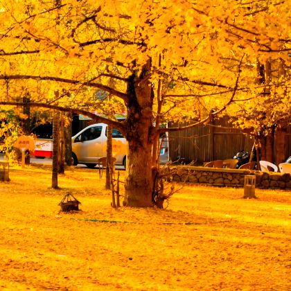 云南腾冲+芒市+西双版纳8日7晚私家团