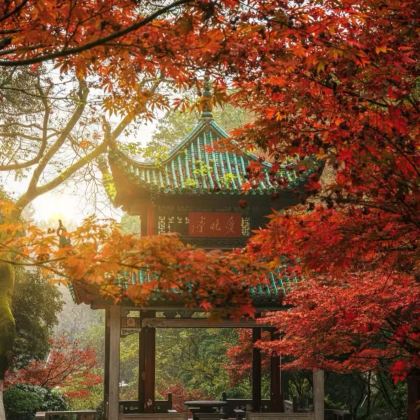 长沙+湖南省博物馆+橘子洲景区+衡阳+岳阳5日4晚跟团游