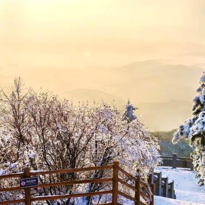 郴州+东江湖旅游区+高椅岭旅游区+莽山五指峰景区3日2晚拼小团