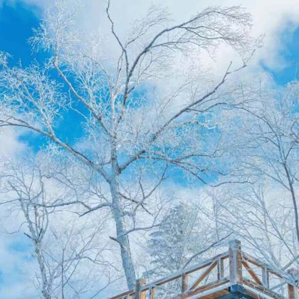 伊春4日3晚私家团