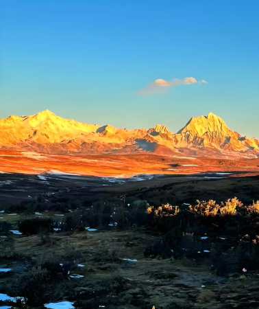 5 วัน 4 คืน • พรีเซล Early Bird ฤดูใบไม้ร่วง-ฤดูหนาว: เฉิงตู ภูเขาสี่ดรุณี เมืองซินตูเฉียว สวนสาธารณะเมจิ และอวี๋จื่อซี