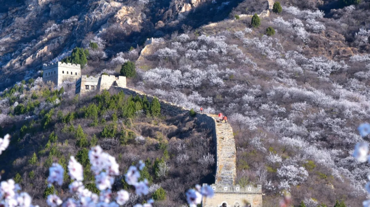 3D2N · Private Tours · Beijing + The Palace Museum + Badaling Great Wall + Temple of Heaven + Summer Palace + Red Theater