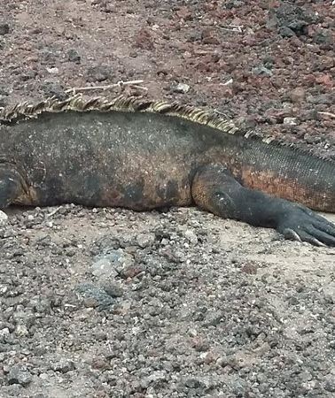 3D2N • GALAPAGOS IDEAL (3Days)