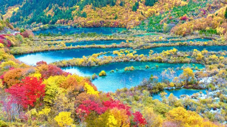 <8天>【8日7晚 · 旅行團 · 《九寨溝‧黃龍‧樂山》天府四川深度遊九寨溝(獨立環保車)、黃龍(瑤池仙境)、樂山大佛(遊船)、東方佛都、成都大熊貓繁育研究基地(觀賞國寶熊貓)、都江堰(千年水利工程)8天高鐵團 · 《九寨溝‧...】·九寨溝+黃龍+樂山+天府四川深度遊九寨溝(獨立環保車)+黃龍(瑤池仙境)+樂山大佛(遊船)+東方佛都+成都大熊貓繁育研究基地(觀賞國寶熊貓)+都江堰(千年水利工程)8天高鐵團