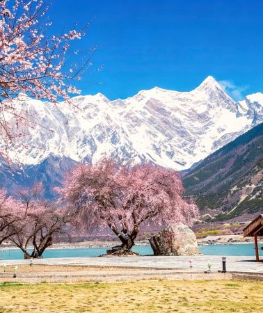8D7N • Lhasa + Nyingchi + Laigu Glacier + Yamdrok Yumtso + Potala Palace