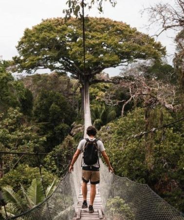 4D3N • From Puerto Maldonado: 4-Day Amazon Rainforest Tour