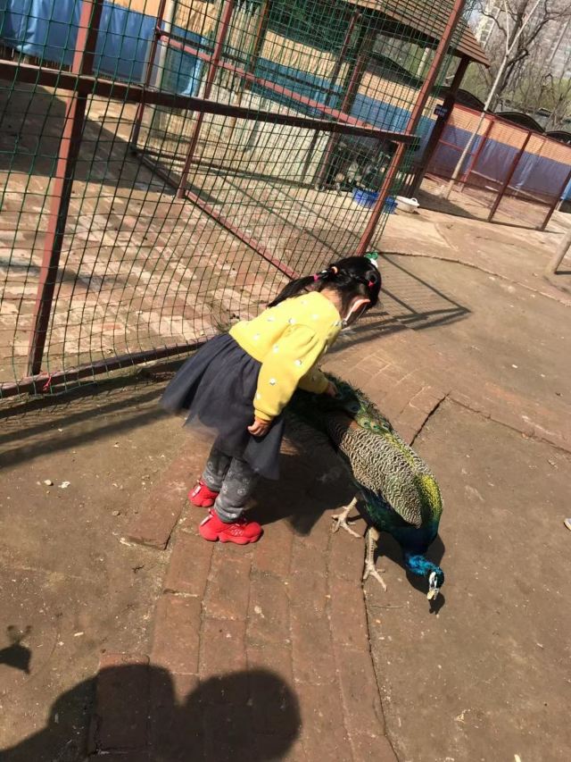 新乡市人民公园旅行图片 1