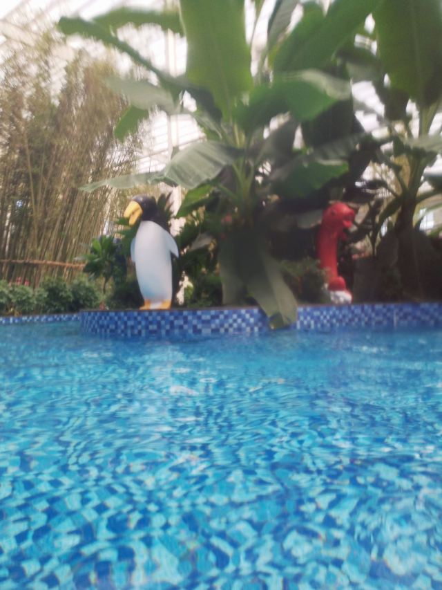 龙腾温泉度假村旅行图片 5