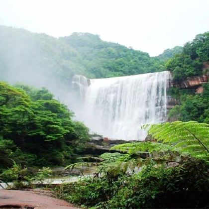 贵州黄果树景区+织金洞+茅台镇+赤水+中国天眼景区8日7晚私家团