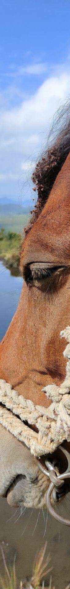 乌蒙大草原-盘州