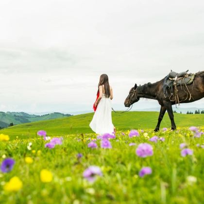 新疆北疆+伊犁7日6晚拼小团