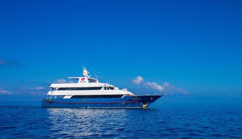 CA cruise - RG