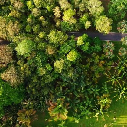 西双版纳5日4晚自由行