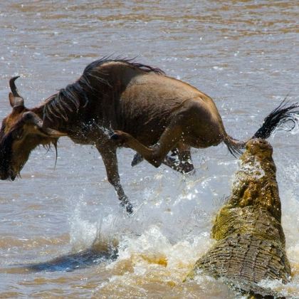 坦桑尼亚8日自由行