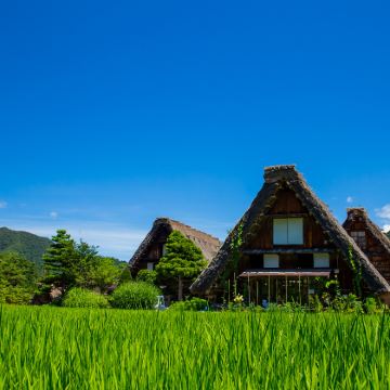 日本名古屋+飞弹高地+白川乡+上高地5日4晚跟团游