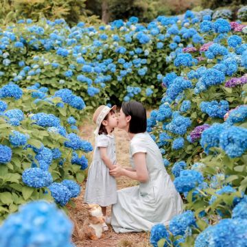 韩国济州岛5日4晚私家团