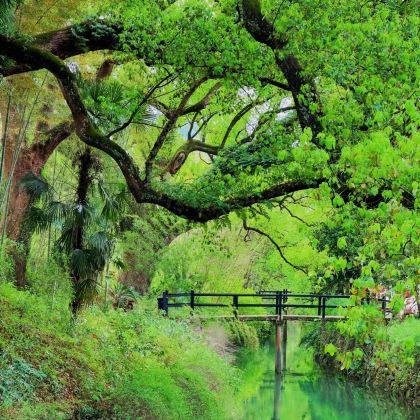 丽水+缙云+云和2日1晚拼小团