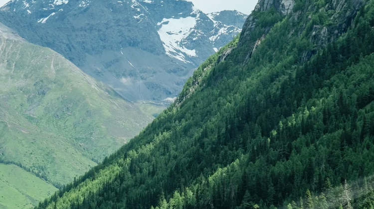8-day 7-night · Private Tour · Chengdu + Daocheng Yading + Mount Siguniang + Moshi Park Scenic Area + Yuzixi + Xinduqiao Town