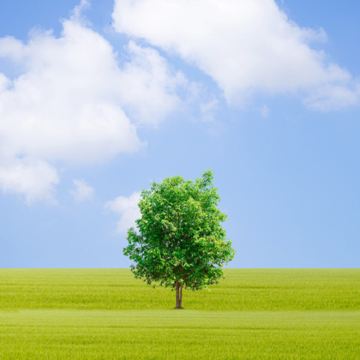 内蒙古呼和浩特+希拉穆仁草原+响沙湾2日1晚自由行