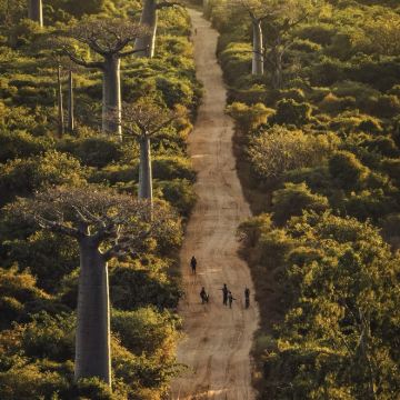 马达加斯加7日6晚私家团