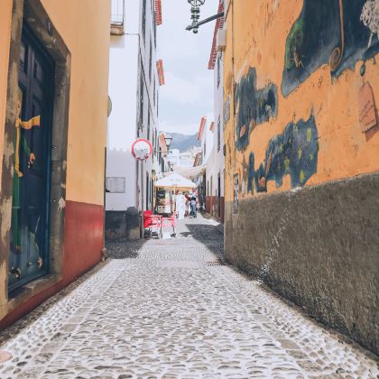 马德拉群岛10日9晚私家团