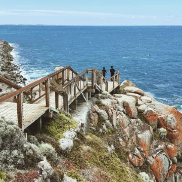 澳大利亚墨尔本+阿德莱德+大洋路+菲利普岛+莫宁顿半岛+海豹湾10日9晚私家团