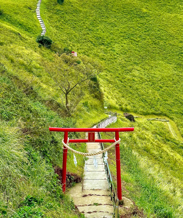 6天5晚 • 【關東經典全覽】火山口大湧谷+富士印湖河口湖+橫濱合味道紀念館