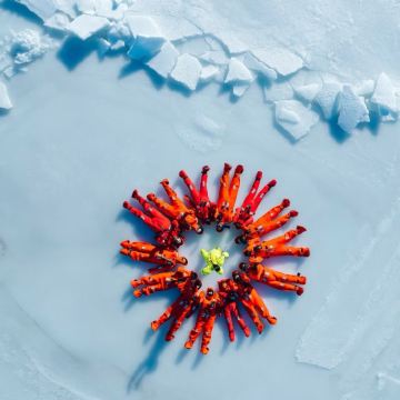 俄罗斯海参崴6日私家团