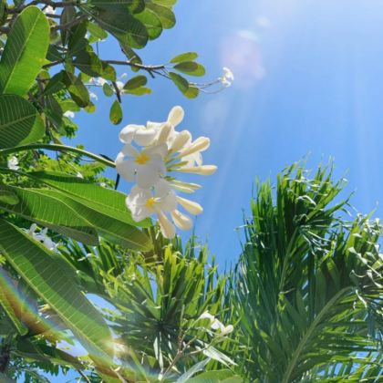 巴厘岛+吉利群岛+龙目岛7日6晚私家团