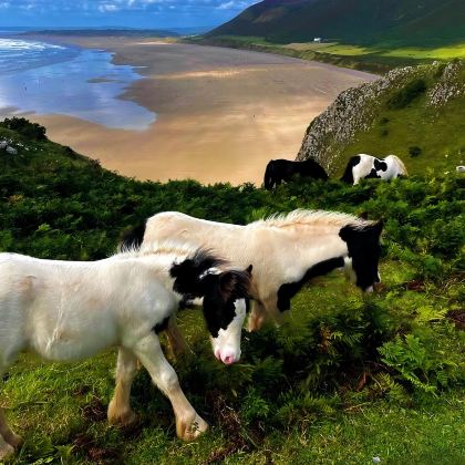 英国伦敦+卡迪夫+斯旺西+彭布罗克郡海岸线国家公园+牛津8日7晚私家团