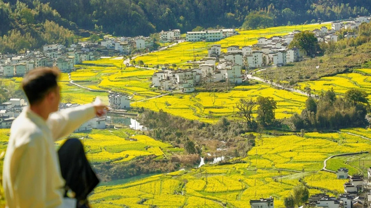 江西廬山風景名勝區(qū)+鄱陽湖+望仙谷+井岡山市+南昌7日6晚私家團