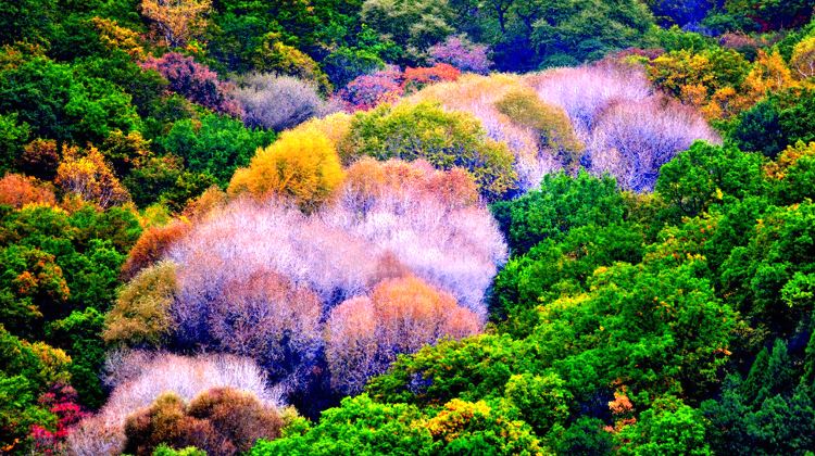 7-Day Beijing, Chengde & Ulan Butong Grassland  Discover Imperial Heritage, Majestic Great Wall, Charming Water Town and Vast Grassland in One Unforgettable Journey