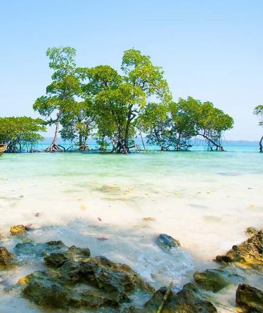 6D5N • From Port Blair: 6-Day Andaman Islands Tour with Transfers