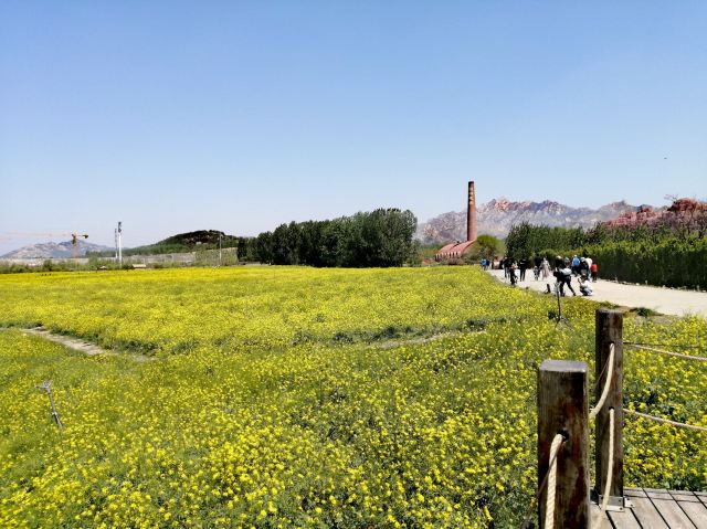 青岛西海岸生态观光园旅行图片 8