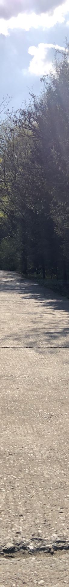 猴石国家森林公园-新宾