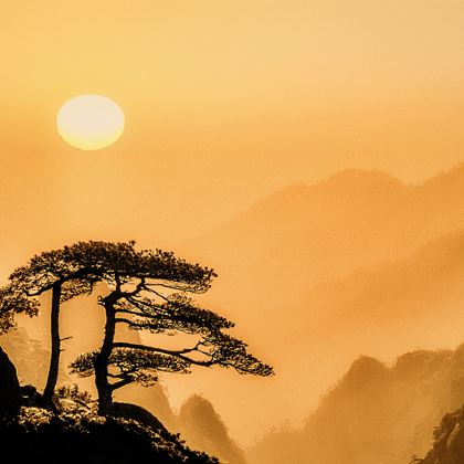 黄山风景区+西递+宏村+新安江山水画廊+徽州古城5日4晚跟团游