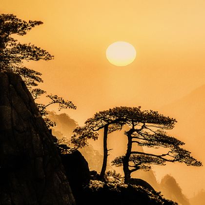 黄山风景区+西递+宏村景区+婺源+新安江山水画廊+徽州古城6日5晚跟团游